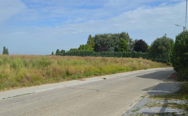 Vue depuis la rue du terrain à vendre à Huppaye Vue depuis la rue du terrain à vendre à Huppaye