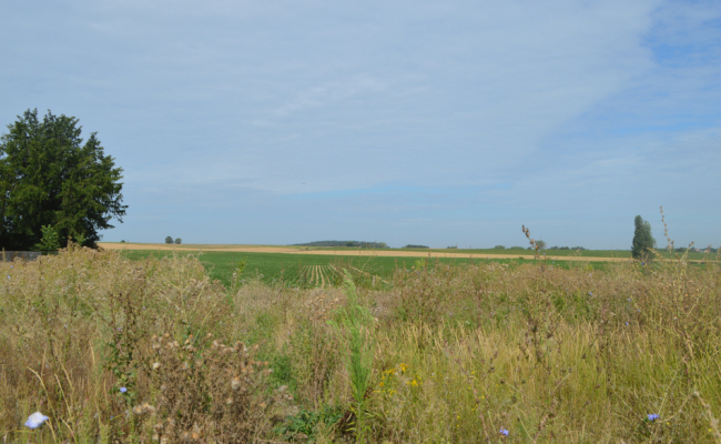Vue arrière vers les champs du terrain à vendre à Huppaye Vue arrière vers les champs du terrain à vendre à Huppaye