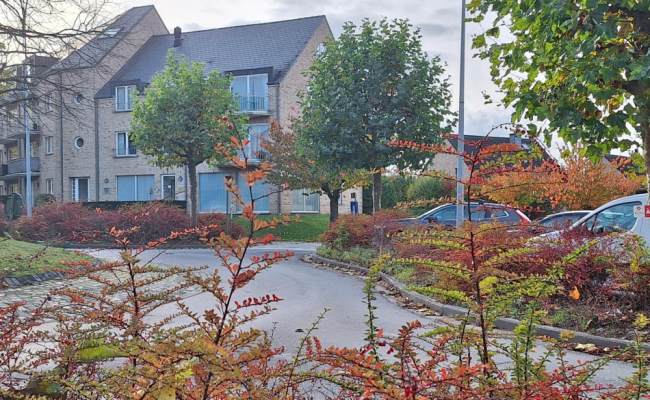 20251030_152049 20251030_152049