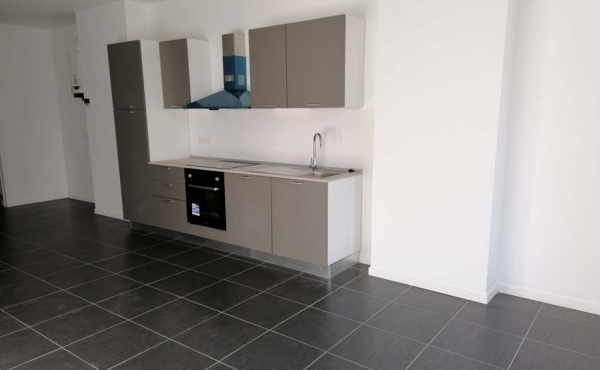 IMG_20201123_114547_resized_20201123_022947649